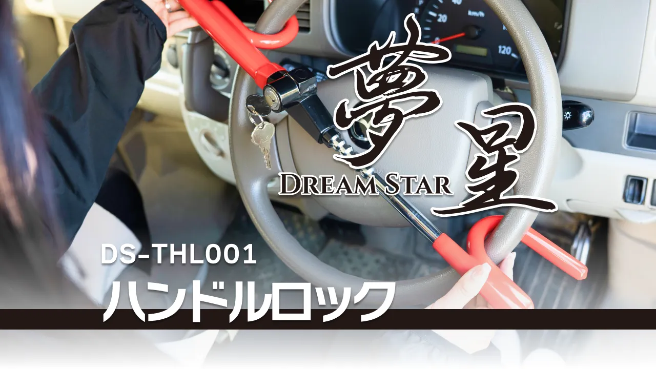 DS-THL001ﾋﾞｼﾞｭｱﾙ